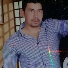 محمود ابوحسن