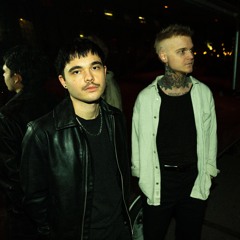 PALESKIN
