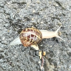 EDX_Public_Account_JW