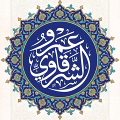 عمرو الشرقاوي