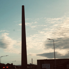 sᴀᴍᴜᴇʟ 101
