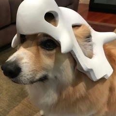 spxmpoint
