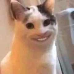 user1937391980227