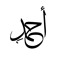 احمد ماجد عبدالباري