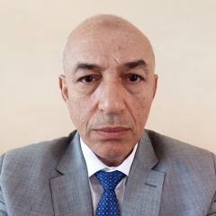 محمود عاشور الجبالى