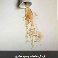 نشيد خير القرون مواقفاً ومثالا♥️♥️