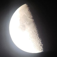 배그하는 ĐĞĐメ코로롱