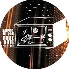 Microrave Records