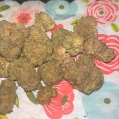 Kaizgeeked
