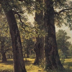 Allum Urbanczyk
