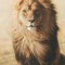 lion king 👑👑👑