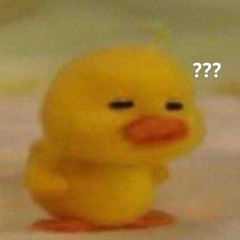 jayduckie