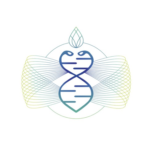 Medicine Festival’s avatar