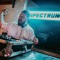 Eclectic Sounds