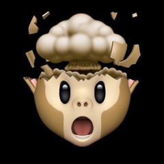 Mr.Ape/PHDfloppa