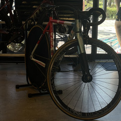 픽시타는뚱땡이