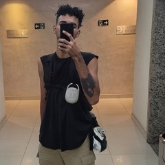 Perdi Meu Gato
