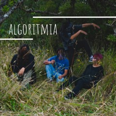 Algorítmia