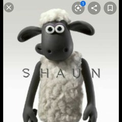 shaun