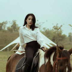 Anh Thảo Lưu