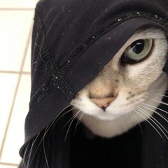 ꧁༒☬𝓝𝓮𝓿𝓮𝓻𝓶𝓸𝓻𝓮☬༒꧂