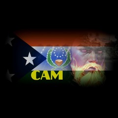 CAM