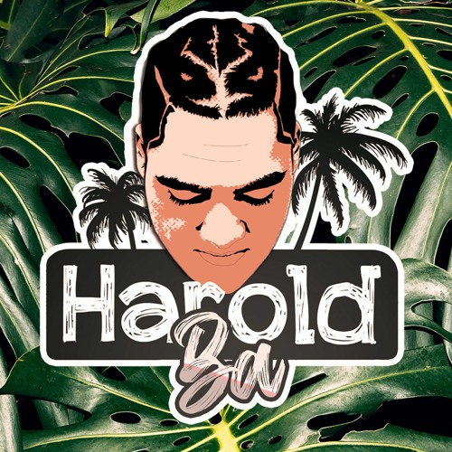 Dj Harold Ba’s avatar