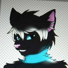 Midnight The Timber Wolf
