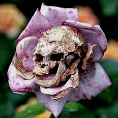 User 67