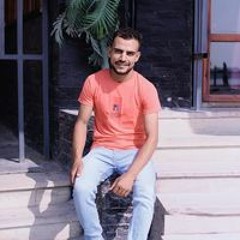 أحمد الروبي