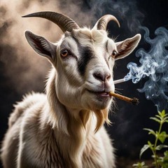 lil.goat