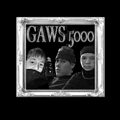 GAWS 5000