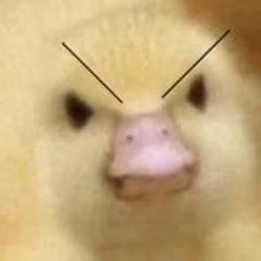 chaos ham