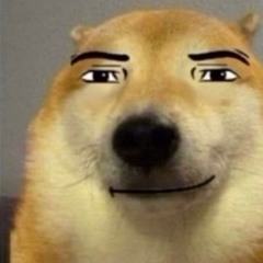 Dank_Dog