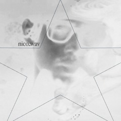 nico_wav
