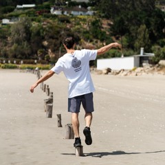 Philippe Zaror guereau