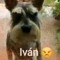 IVAN🤫🤔
