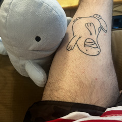 Anything and Everything