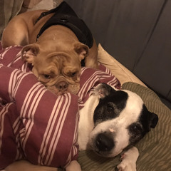 lekcja rażenia Pradem