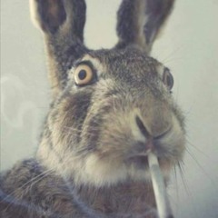 ZajaChick420