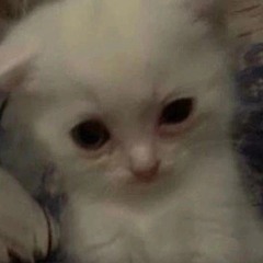 ユリ