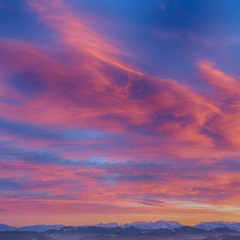 Scott Warren