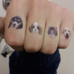 zarapinanatelepobeditelua