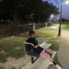 D33i0r