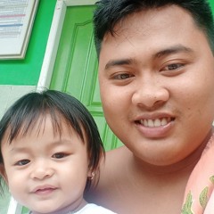 Aidil p