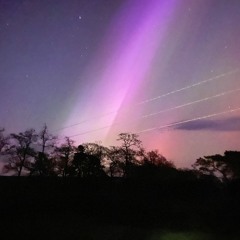 Guy Forrester - Linden Studio