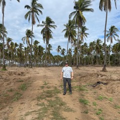 Juan Chapa