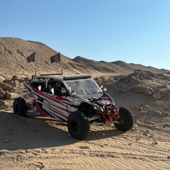 Alhammadi74