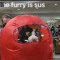 10 furries in a basket
