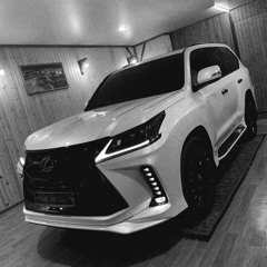 汽車 日本 豐田自然手臂